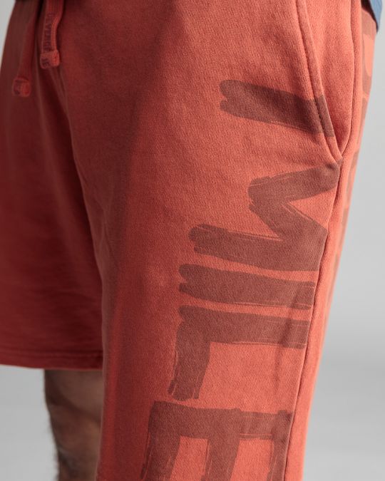 BORDEAUX MEN'S SHORTS 1D24SS1109MP0705